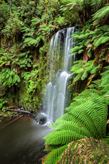 Beauchamp Falls, Great Otway National Park, Australia