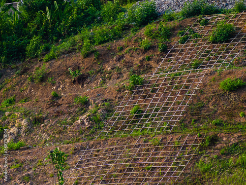 Cuadros en Lienzo Shallow cellular confinement system to prevent soil erosion on slope