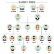 Family tree human avatars relationship scheme illustration