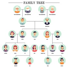 Family Tree Human Avatars Relationship Scheme Illustration