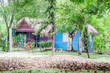 Typical Dominican Country House Surrounded By Vegetation With Beautiful Green Tones, Painted Blue And Covered With Palm Tree