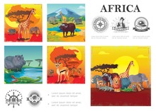 Cartoon Wild Africa Colorful Composition