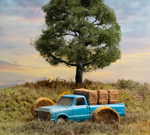 Dusty Blue Truck Under Oak  Tree And Barn Hay