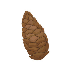 Wall Mural - Closed pine cone. Vector illustration on white background.