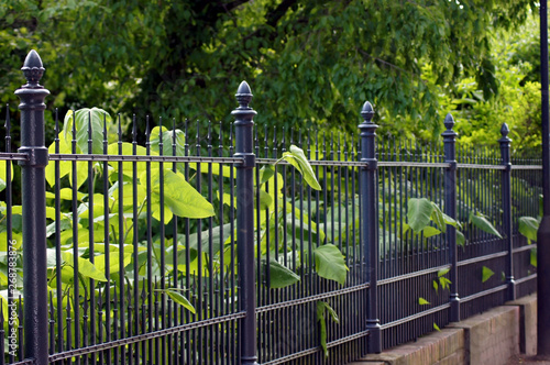 Gartenzaun aus Eisen in schwarz StockFoto Adobe Stock