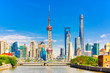 © Nikolay N. Antonov - Shanghai pudong skyline with historical Waibaidu bridge, China during summer sunny day