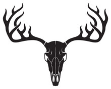 Animal skull | Public domain vectors Animal skull | Public domain vectors