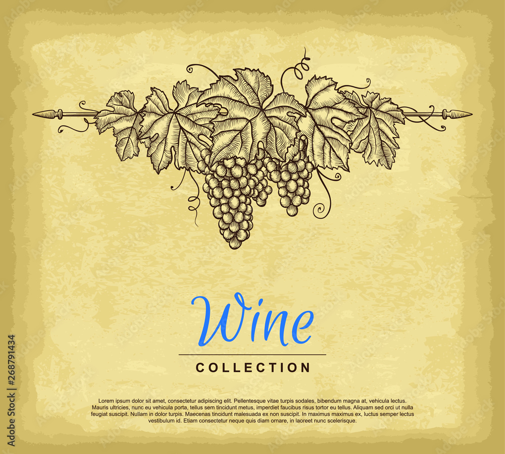 Hand drawn grape wreath. Old paper texture background. Template for ...