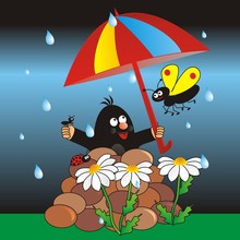 Mole, Butterfly, Ant And Ladybug Under Umbrella, Rain, Funny Vector Illustration, Postcard.	