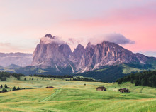 Green Field With Purple Sky At Seiser Alm, Italy