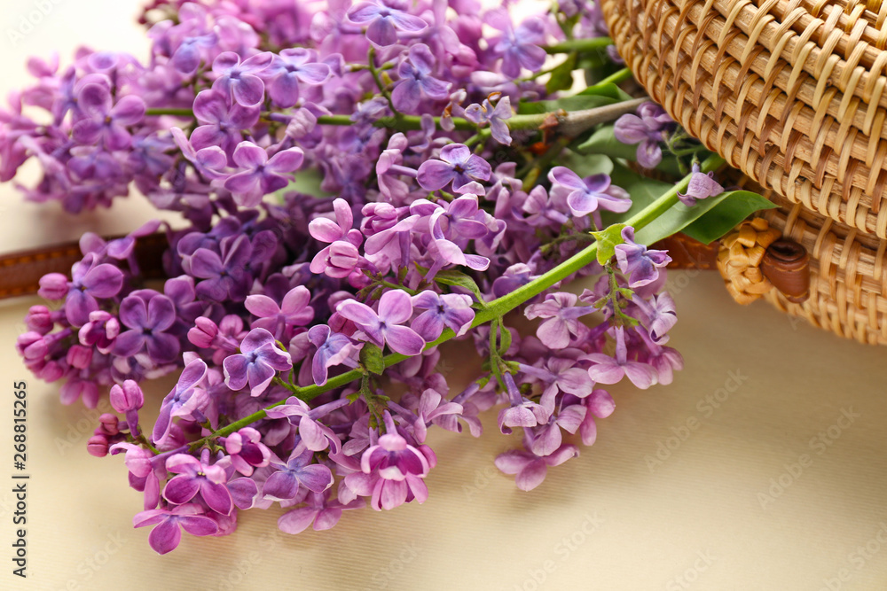 Beautiful lilac flowers and bag on color background, closeup