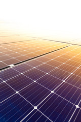 Wall Mural - solar panels, renewable energy clean and good environment.