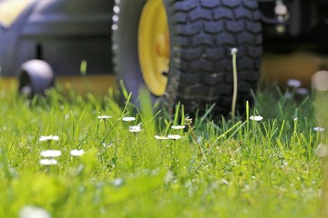 Wall Mural - lawn mower on green grass