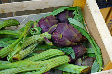 Wall Mural - Purple artichokes (carciofi) at an Italian farmers market