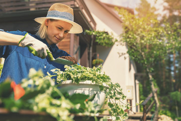 happy young woman planting summer flowers in pot at home backyard