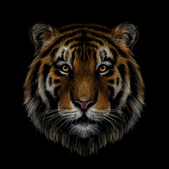 Wall Mural - color, graphic, hand-drawn portrait of a tiger looking ahead on a black background.
