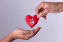 Woman Hand Gives A Red Heart To A Boy Hand For Blood Donation Concept,World Blood Donor Day. Copy Space For Advertisers.