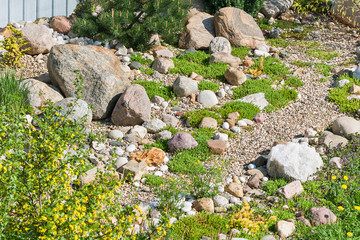 Wall Mural - rock garden