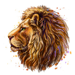 Wall Mural - artistic, color profile portrait of a lion's head on a white background with watercolor splashes.