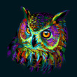 Long-eared Owl. Abstract, multicolored graphic hand-drawn portrait of an owl on a dark green background.