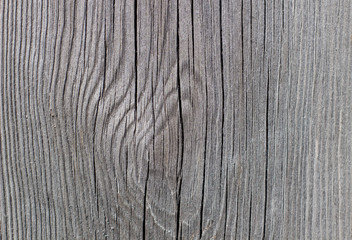 Wood of the door as background