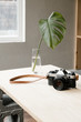 © Nicole Mason/Stocksy - vintage camera and vase with leaf in modern house