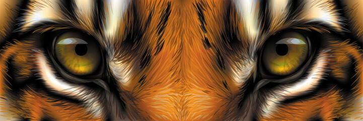 big eyes. eyes of a red tiger close up.