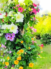 Watercolour Painting Of Hanging Basket Flowers In An English Cottage Garden.