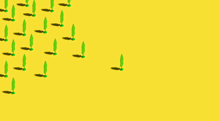 Trees