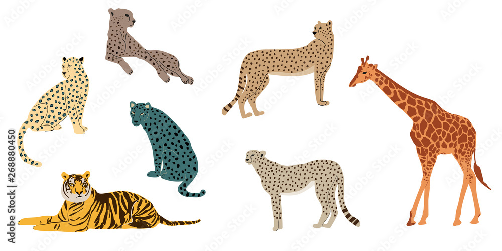 Leopards, tiger, cheetah and giraffe - obrazy, fototapety, plakaty 