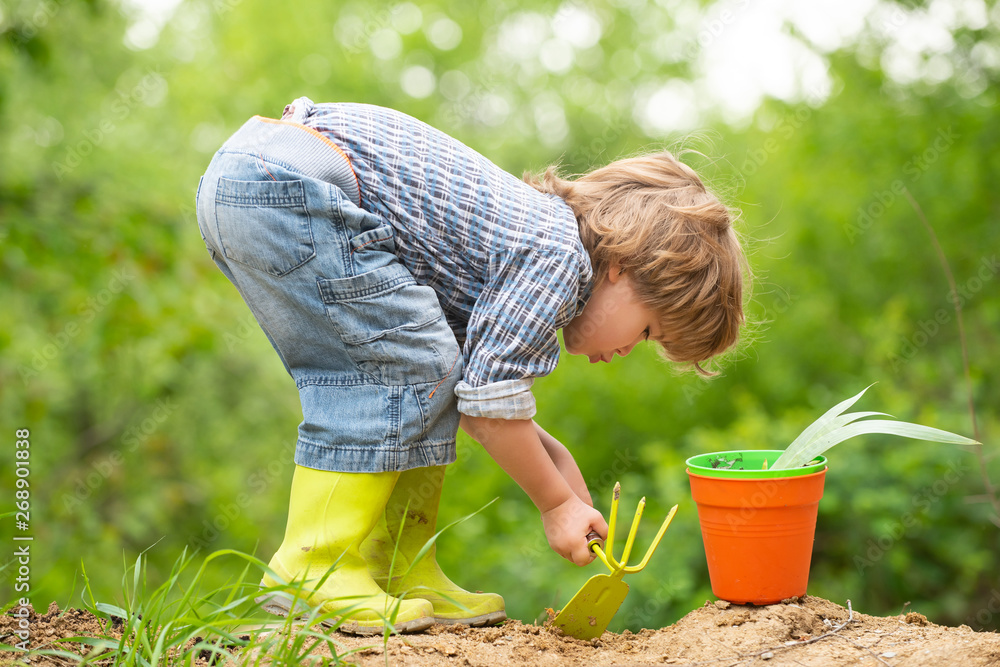 Garden. Sweet gardener. Boy digs the ground in the garden. Children and nature. Eko bio organic concept. Healthy food and products. Harvest and Healthy Eating. Cute boy with garden equipment. - obrazy, fototapety, plakaty 