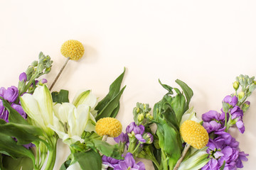 Wall Mural - gillyflower on light background
