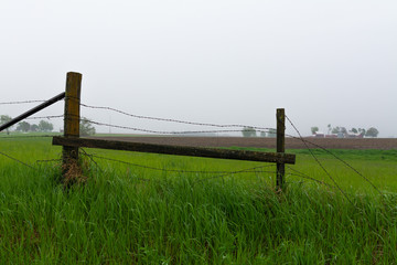 Fence in the rain
