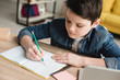 © LIGHTFIELD STUDIOS - cute attentive boy writing in notebook while sitting at desk and doing homework
