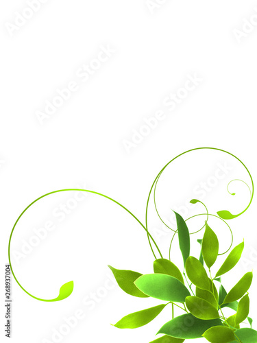 新緑 若葉 葉っぱ 植物 フレーム 枠 Stock イラスト Adobe Stock
