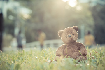 Brown bear doll sitting alone on the lawn