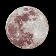 Wall Mural - a full moon isolated against a black night sky in high resolution with fine details on the surface w
