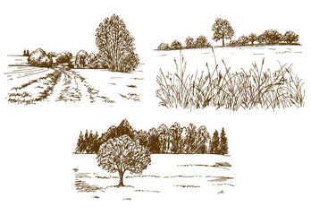 Wall Mural - Rural landscape. Hand drawn set.