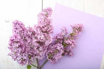 Canvas Print - Branch of purple lilac