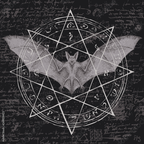 Fotografía Vector illustration with a bat with open wings and star