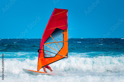Dekoracja na wymiar  sporty-wodne-windsurfer-plywajacy-na-falach-w-sloneczne-letnie-popoludnie-pod-blekitnym-niebem