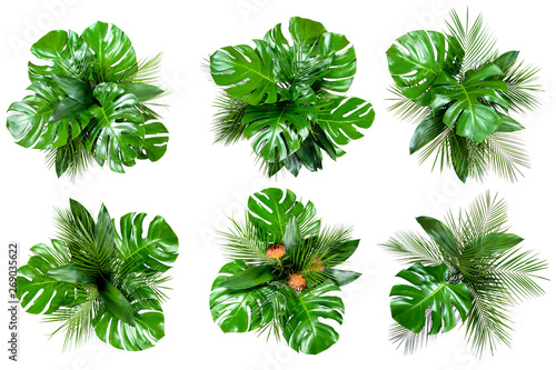 Obraz na PCV Set of six bouquets of various fresh tropical leaves and flowers isolated on white background. Top view, flat lay, clipping paths.