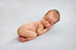 © Oksana - Sleeping newborn boy in the first days of life on white background