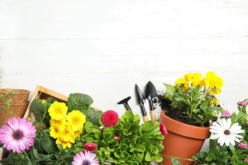 Composition with gardening equipment and flowers on wooden table, top view