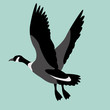 goose canadian, .vector illustration, flat style ,profile