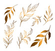 Set of branches with leaves. Hand drawn decorative elements. Vector golden outline