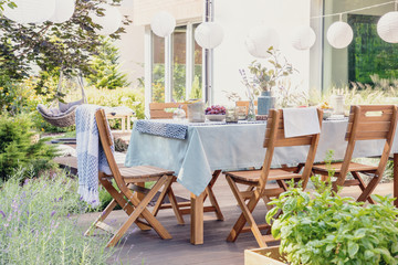 Wall Mural - Wooden chairs at table with flowers and food in the garden with plants and lanterns. Real photo