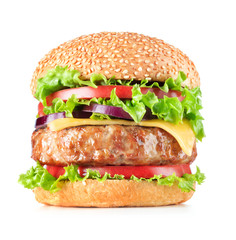 Wall Mural - single hamburger isolated on white background