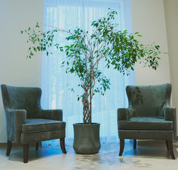 interior hall tree and two green chairs near the window