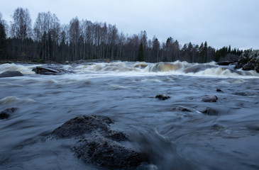 Poster - Wild river in sweden photographed daytime in late autumn